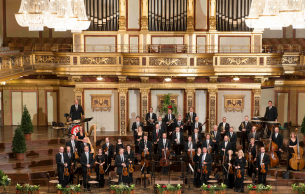Strauss-matinée Am Wolkenturm Wiener Johann Strauss Orchester & Dirigent Alfred Eschwé: Boccaccio Von Suppé (+6 More)