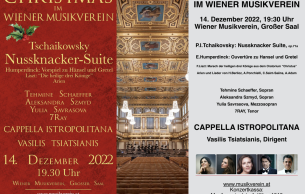 Christmas in the Wiener Musikverein: Concert Various
