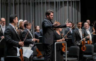 13枚組 THE ISRAEL PHILHARMONIC ORCHESTRA 13枚組 THE ISRAEL PHILHARMONIC ORCHESTRA