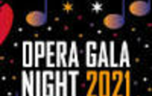 Opera Gala Night 2021: Opera Gala Various