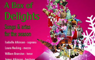 A Box of Delights: Concert Various
