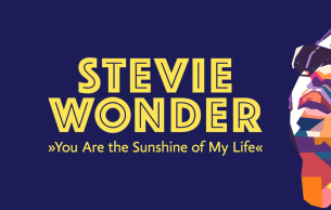 Stevie Wonder - Die Legende: Concert Various