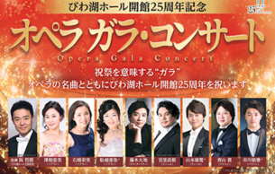 25th Anniversary Opera Gala Concert: Opera Gala Various