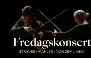 Friday concert: Strauss, Mahler, Zemlinsky: Poster