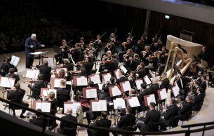 To the 210th anniversary of Verdi: Il trovatore Verdi
