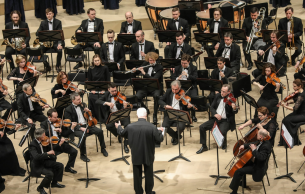 To the 210th anniversary of Verdi: Il trovatore Verdi
