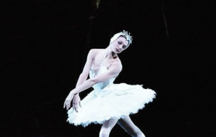 Best Of Ballet: The Nutcracker Tchaikovsky, P. I. (+6 More)