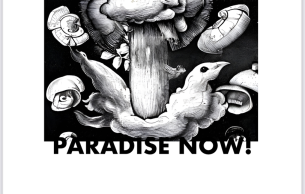2. Nachtklänge – Paradise Now!: Paradise now! Sinan