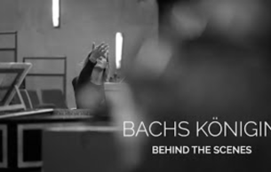 Holland Baroque: Bachs Königin (Barockfest Darmstadt): Concert Various