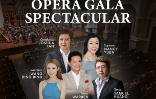 Opera Gala Spectacular: Opera Gala Various
