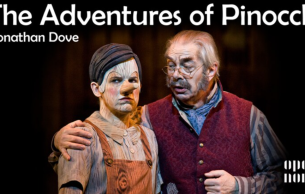 The Adventures of Pinocchio Dove