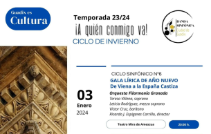 Concierto Año Nuevo: Carmen Bizet (+14 More)
