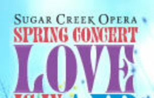 Love is in the Air: Concert Various