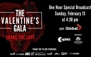 The Valentine Gala: Concert Various
