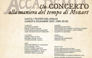 Un Concerto alla maniera del tempo di Mozart: Concert Various
