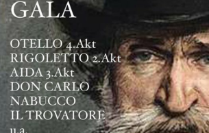 Verdi Gala - International soloists from leading opera houses: Opera Gala Various