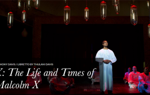 X, the life and times of Malcolm X Davis,A