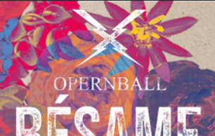 Opera Ball: Concert Various