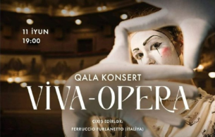 VIVA-OPERA: Opera Gala Various