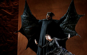 Armida Rossini Opera Festival 2014