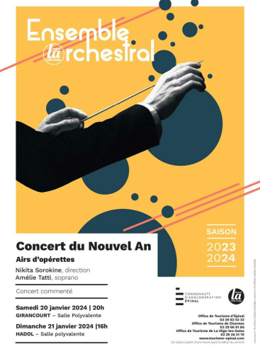 Concert Du Nouvel An - Airs D'opérettes: Concert Various