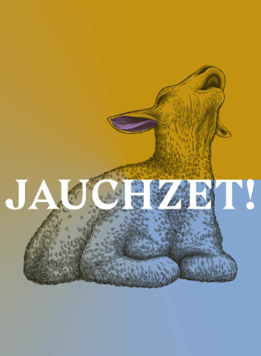 Jauchzet!: Concert Various