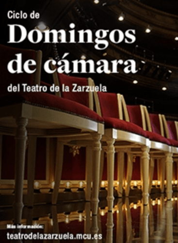 Domingos de cármara: Concert Various