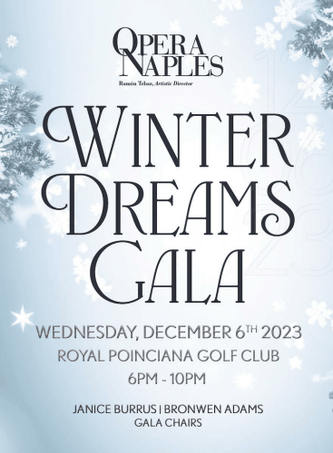 Winter Dreans Gala: Gala Opera Various