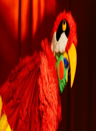 The Birds' Opera Lūsēns