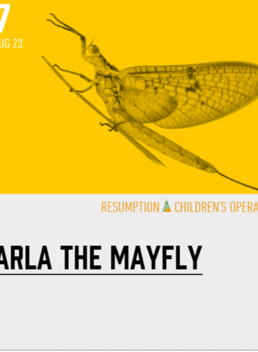 Marla die Maifliege Gscheidle