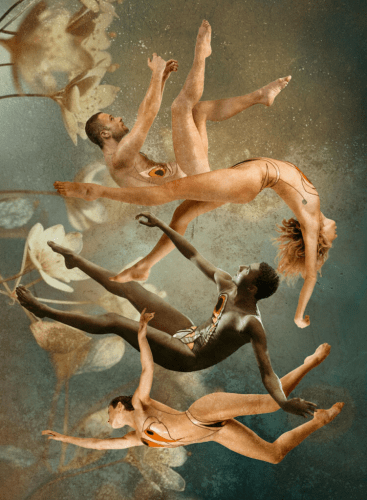 Sad i nikad više, balet: Ballet Various (+1 More)