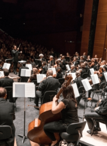 Euskadiko Orkestra: Concert Various