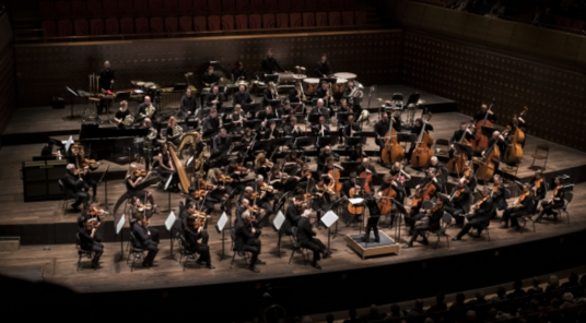 Mostrar todas las fotos de Antwerp Symphony Orchestra