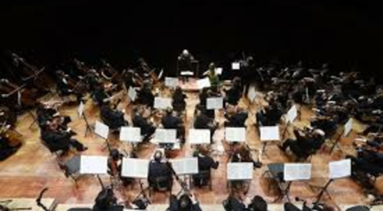 Uri r-ritratti kollha ta' Malta Philharmonic Orchestra