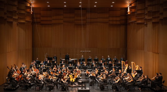 Zobrazit všechny fotky Orchestra del Conservatorio della Svizzera italiana