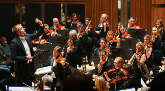 Mostra totes les fotos de Royal Philharmonic Orchestra