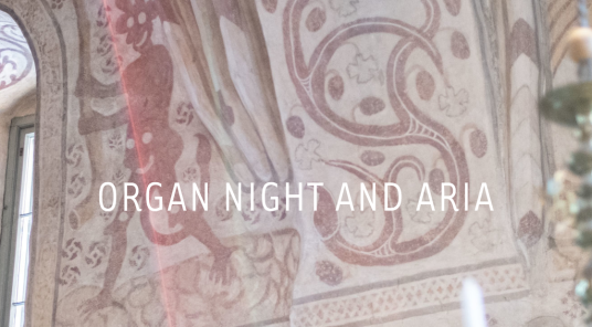 Taispeáin gach grianghraf de Organ Night and Aria Festival