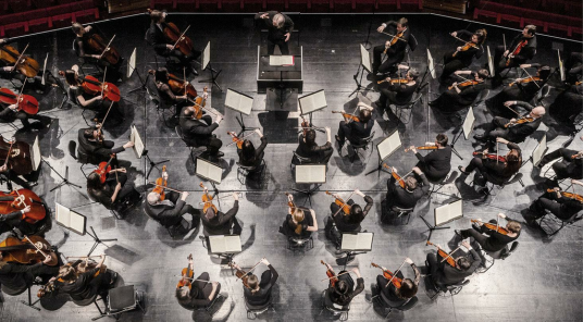 Uri r-ritratti kollha ta' Vorarlberg Symphony Orchestra