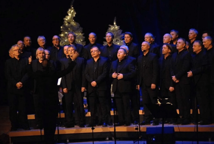 Natten Er Lang – en Julekonsert Med Mannskoret Gaasehud Og Gjester: Concert Various