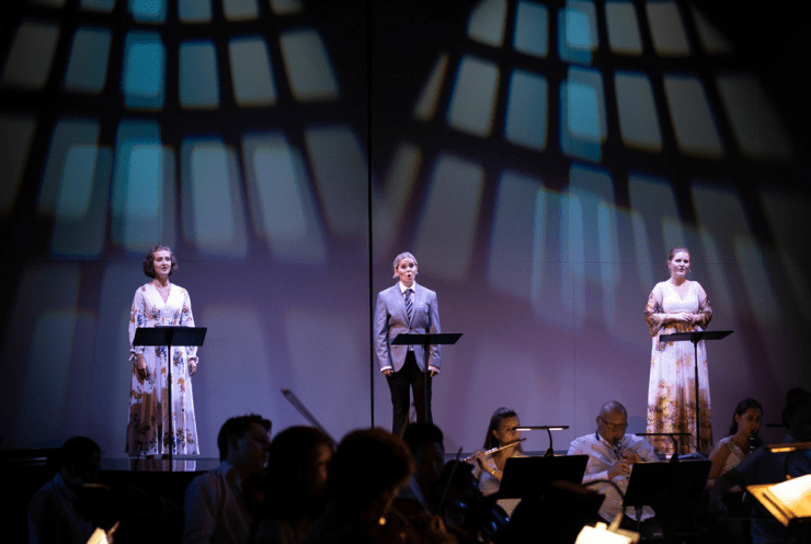 Opera Ved Fjorden - Ariekonsert: Concert Various
