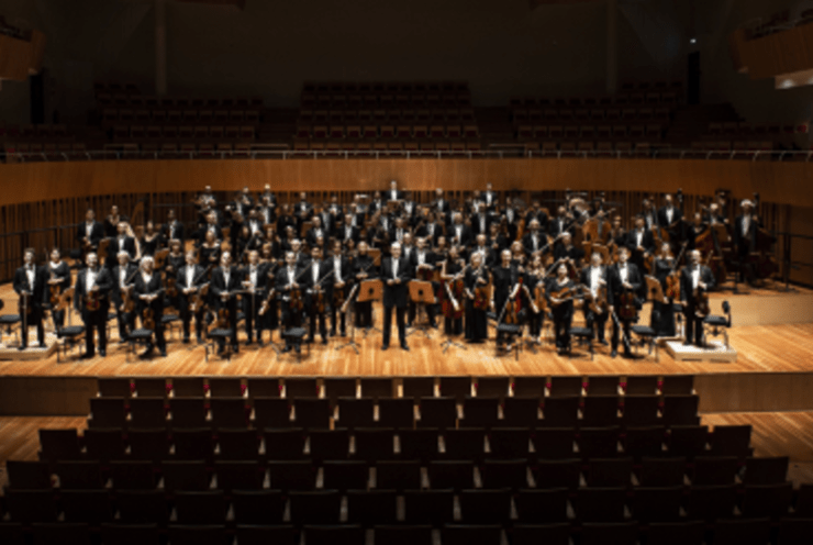 Strauss / Mahler: Concert Various