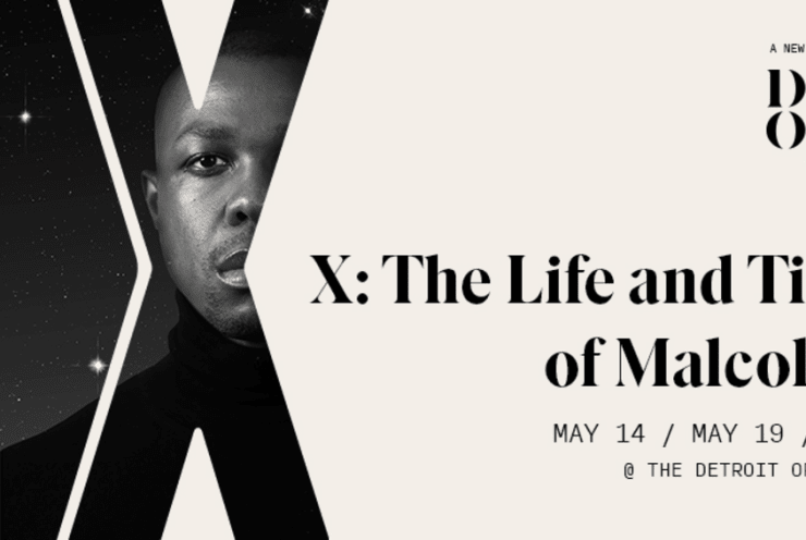 X, the life and times of Malcolm X Davis,A