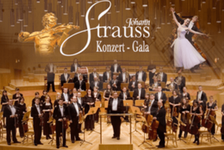 Johann Strauß konzert-gala: Opera Gala Various