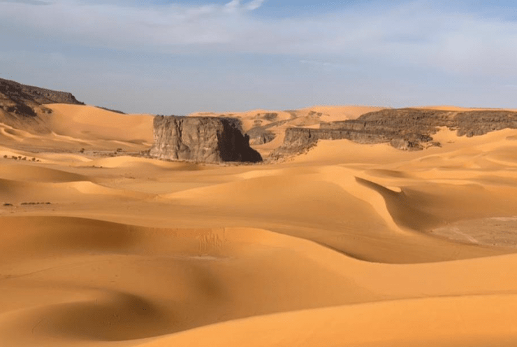 Algerian desert sounds: Concert Various
