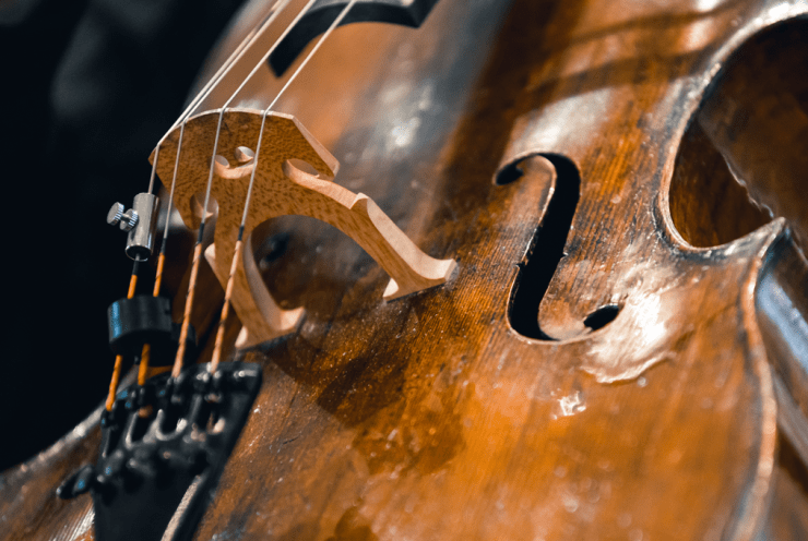 Czech chamber music society ⬩ peter jarusek, veronika jaruskova, dalibor karvay: Nonet for strings (+3 More)
