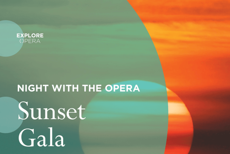 Night With The Opera: Sunset Gala: Concert Various