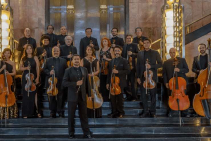 Programa 5: Sinfonia da "Il coro delle muse" RV149 Vivaldi (+2 More)