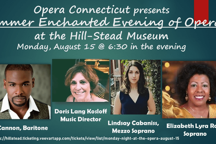 Summer Enchanted Evening Of Opera: Concert Various