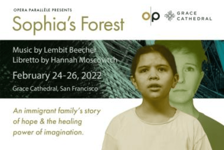 Sophia’s Forest Beecher