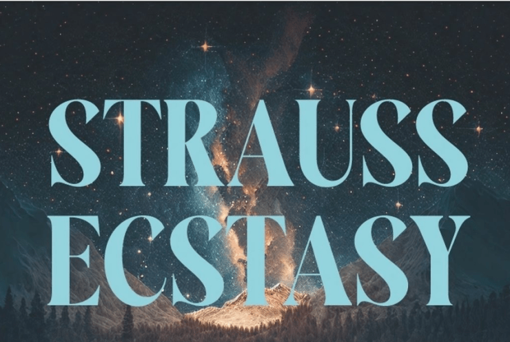 The Best of Richard Strauss: Concert Various